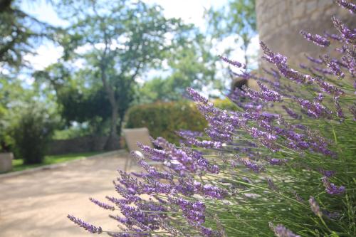 Château De Chaussy – Photos 4