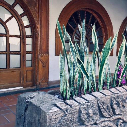 Un jardín fuera de Hotel Real de Minas Tradicional