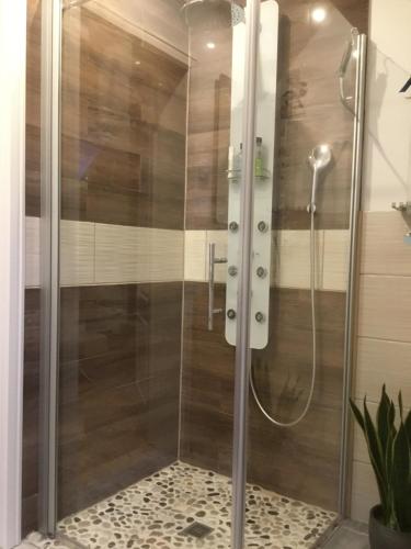 a shower with a glass door in a bathroom at Baldies Tenne in Ostseenähe in Wendorf