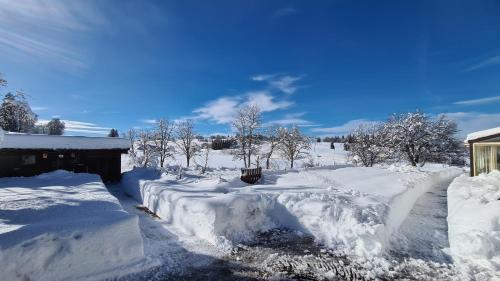 a yard covered in snow next to a house at MV Vacances in Les Rousses