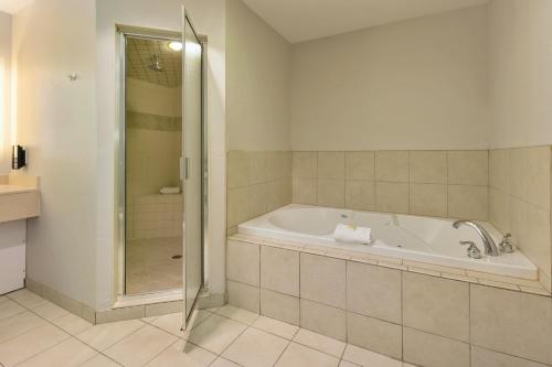 a bathroom with a bath tub and a shower at Holiday Inn Express Hotel & Suites Petoskey, an IHG Hotel in Petoskey