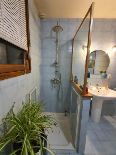 ein Bad mit einer Dusche, einem Waschbecken und einem Spiegel in der Unterkunft A l'Ecole Buissonnière, chambre d'hôtes en Sidobre in Lacrouzette
