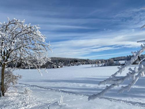 a snow covered field with a tree in the foreground at Berghotel Talblick in Holzhau