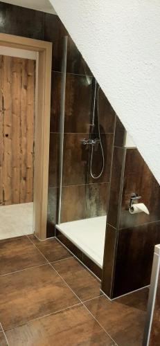 a bathroom with a shower with a sink at Gasthaus-Pension Hofmann in Oberdachstetten