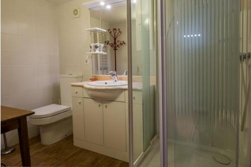 a bathroom with a shower and a sink and a toilet at CHALET Les Chouchous in Passy