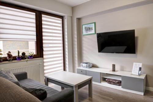 TV a/nebo společenská místnost v ubytování Apartament SŁOWIK