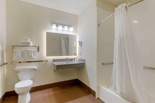 een badkamer met een toilet, een wastafel en een douche bij Sleep Inn & Suites Smyrna - Nashville in Smyrna