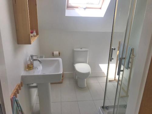 La salle de bains est pourvue de toilettes, d'un lavabo et d'une douche. dans l'établissement Tinnaberna Lodge Kilmuckridge, à Kilmuckridge