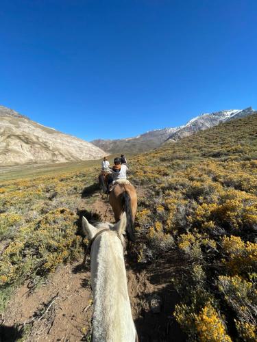 Gallery image of Mountain Aparts Cirrus in Las Lenas