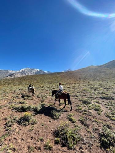 Gallery image of Mountain Aparts Cirrus in Las Lenas