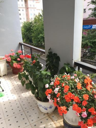 two large buckets of flowers on a balcony at Thien Phu Guesthouse Dalat in Da Lat