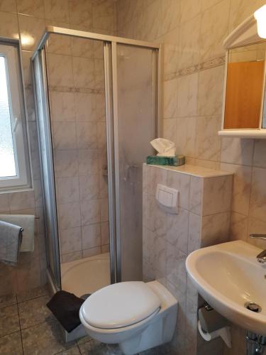 a bathroom with a shower and a toilet and a sink at Haus Panoramablick Familie Loos in Wasungen
