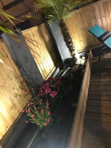 an overhead view of a balcony with flowers and plants at la villa du clos avec "spa" in Cayeux-sur-Mer