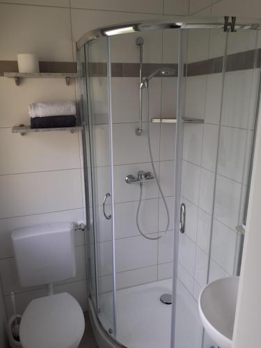 un bagno con doccia, wc e lavandino di Ferienwohnung Tonbachtal a Baiersbronn