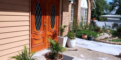 Κήπος έξω από το Dream Home