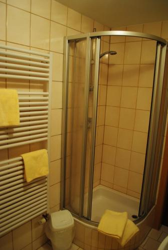 a bathroom with a shower and a toilet at Pension Adolfshaide in Wurzbach