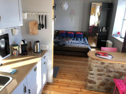 eine Küche und ein Wohnzimmer mit einem Bett im Hintergrund in der Unterkunft Schwanenburg rest in Gulbene