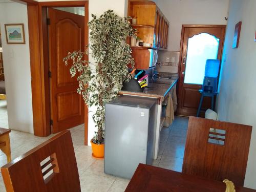 a kitchen with a refrigerator with plants on it at Drake Inn in Puerto Villamil