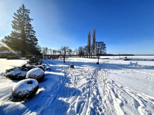 a snow covered field with trees and a trail at Hotel Słoneczny Brzeg in Biskupiec