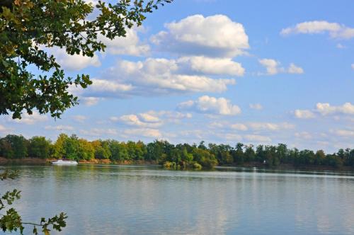 a view of a lake with a boat on it at Relax apartmán Třeboň in Třeboň