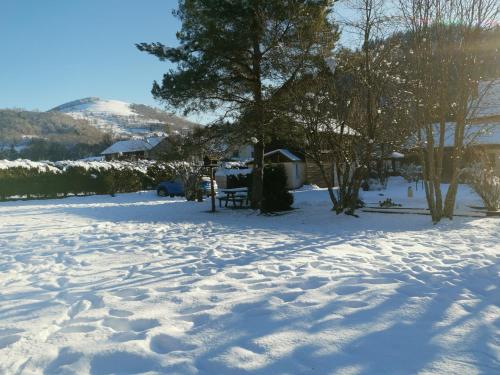 a snow covered yard with trees and a house at Gîtes Les Grandes Voies - Clé Vacances in Le Ménil