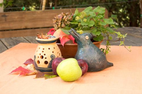 a table with a vase and fruits and a plant at Hof Schupfer - Alpstay in Naturno
