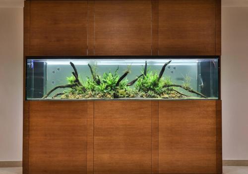 a fish tank in a wooden cabinet with plants in it at Hotel Hermitage in Galatina