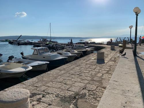 Gallery image of Goga in Selce