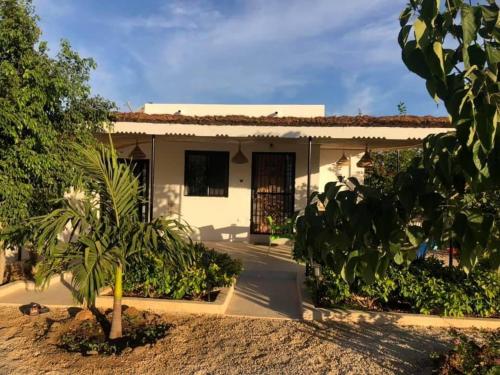 a house with a palm tree in front of it at La Maison Aziz - Somone - Sénégal in Somone