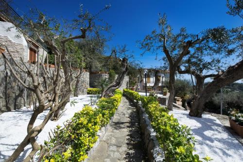 a garden with trees and flowers in the snow at Villa Marianna in Massa Lubrense