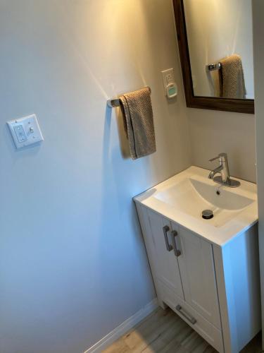 ein Bad mit einem Waschbecken und einem Spiegel in der Unterkunft Pebble Springs BnB in Grand Beach