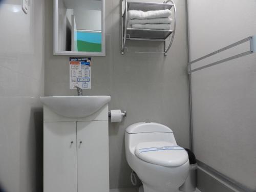 a small bathroom with a toilet and a sink at Arenas Hotel & Spa in Tacna