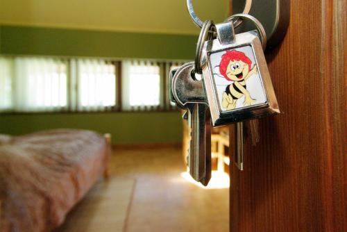 a lock on a door with a picture on it at Maja Apartman in Gyula
