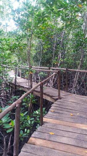 Un paisaje natural cerca de la casa de huéspedes