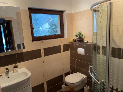 een badkamer met een toilet, een wastafel en een raam bij Chata Vysoká Štola Nejdek in Nejdek