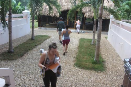 two women walking down a path with palm trees at The Crimson Orchid Inn at Orchid Bay in Corozal