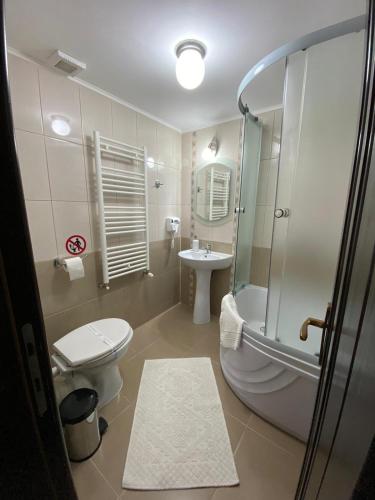 a bathroom with a toilet and a shower and a sink at Casa Violetei in Bran