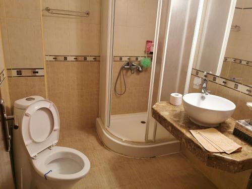 a bathroom with a shower and a toilet and a sink at villa Bonita in Sunny Beach