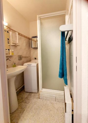 une salle de bain avec une douche, des toilettes et un lavabo dans l'établissement Superbe appartement face à la mer avec parking privatif, à Canet