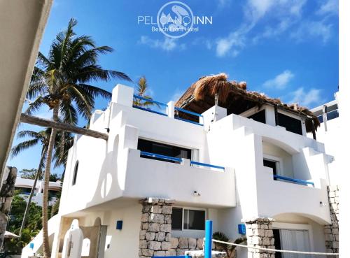 a white house with a palm tree in front of it at Pelicano Inn Playa del Carmen - Beachfront Hotel in Playa del Carmen