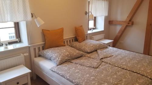 een bed in een kamer met twee kussens erop bij Ferienwohnung-Zum-Malerweg in Pirna