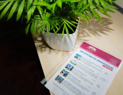 a potted plant sitting on a table next to a paper at City Hostel Panorama in Uzhhorod