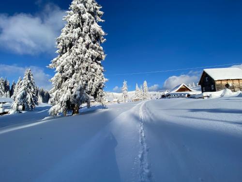 a snow covered yard with a tree and a cabin at Pensiunea Bradet - Padis in Padis