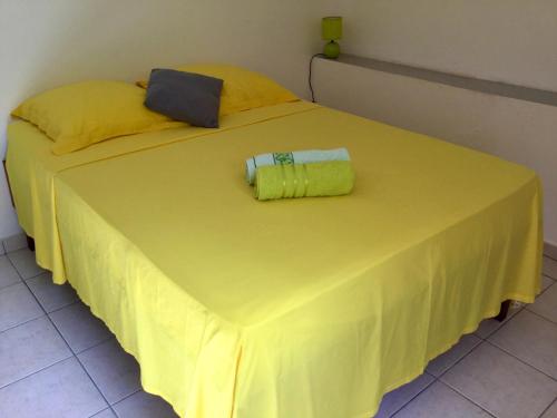 chez Jocelyne prés des sources chaudes