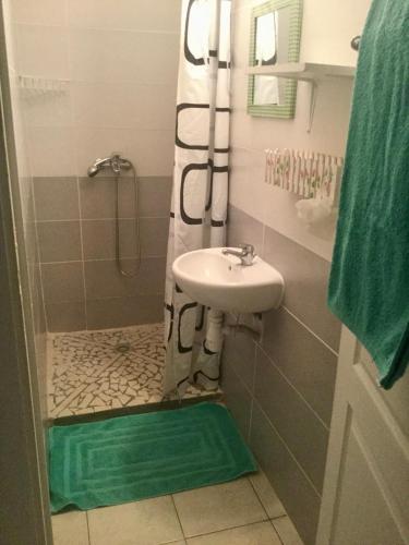 a bathroom with a sink and a shower at chez Jocelyne prés des sources chaudes in Bouillante