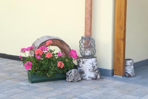 a display of flowers in a box next to a building at B&B Le Ciorciole in Tesero