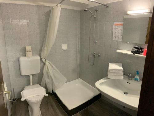 a bathroom with a white toilet and a sink at La Irmania Pension in Ledenitzen