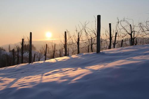 a fence in the snow with the sun in the background at Hotel Staribacher Südsteiermark in Leibnitz
