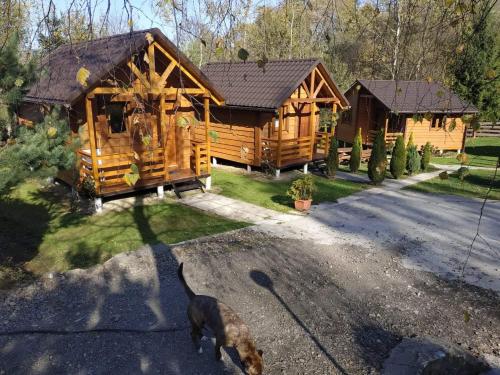 a log cabin with a dog walking in front of it at Słoneczna Polana in Solina