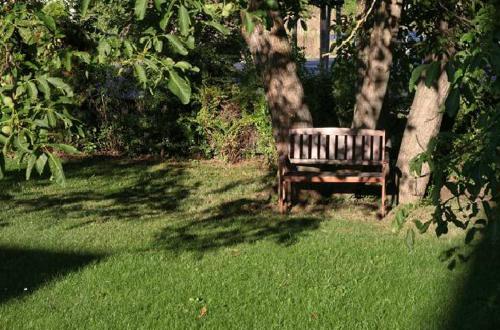 un banco del parque sentado en el césped bajo un árbol en Hotel-Restaurant Esbach Hof en Kitzingen